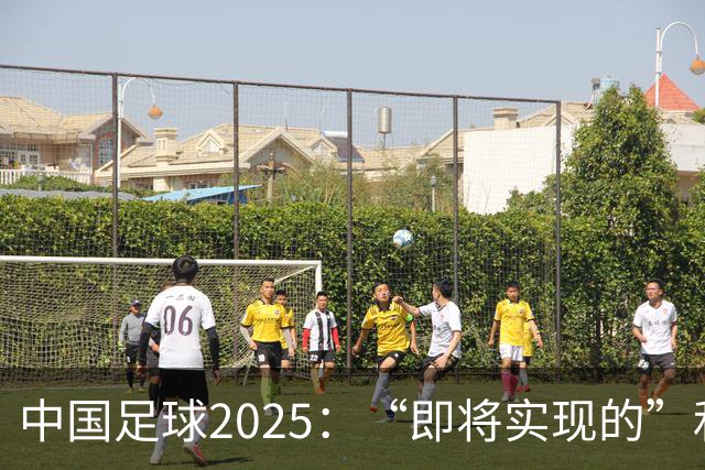 中国足球2025：“即将实现的”和“我们期待的”