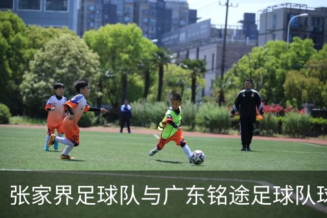 张家界足球队与广东铭途足球队球员赛中发生肢体冲突 官方通报
